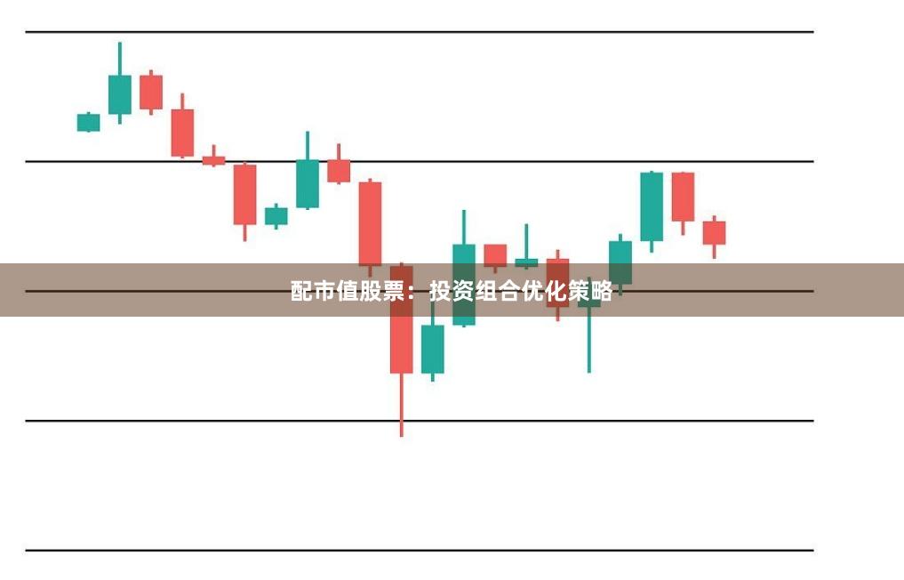 配市值股票：投资组合优化策略