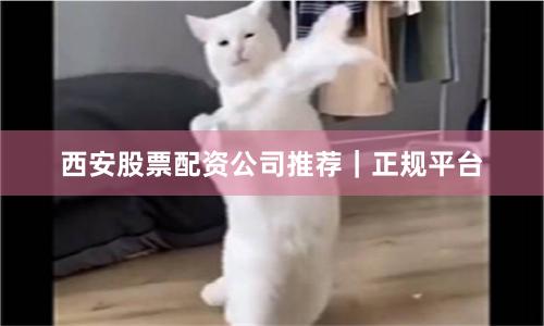 西安股票配资公司推荐｜正规平台
